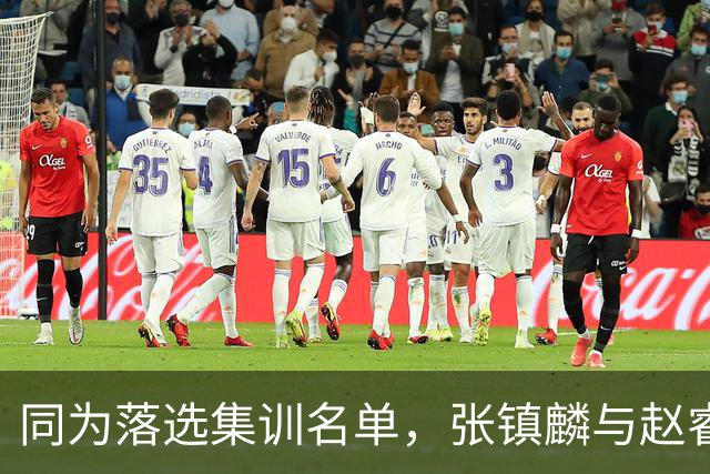 同为落选集训名单，张镇麟与赵睿的境遇差异何在？